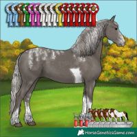 Horse Color:Powder White Silver Black Tobiano 