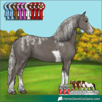 Horse Color:Powder White Silver Black Tobiano 