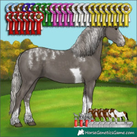 Horse Color:Powder White Silver Black Tobiano 
