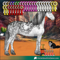 Horse Color:Powder White Platinum Black Splash Tobiano Appaloosa 