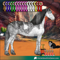 Horse Color:Powder White Platinum Black Splash Tobiano Appaloosa 