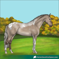 Horse Color:Silver Grullo Tobiano 