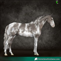 Horse Color:White Spotted Silver Black Tobiano Frame Rabicano 
