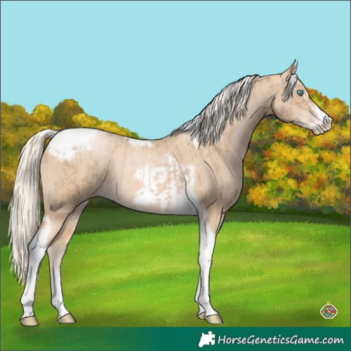 Horse Color:Chocolate Palomino Pearl Tobiano Frame  and Palomino Pearl Tobiano Frame 