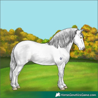 Horse Color:Gray Sable Champagne Dun Splash Tobiano Appaloosa