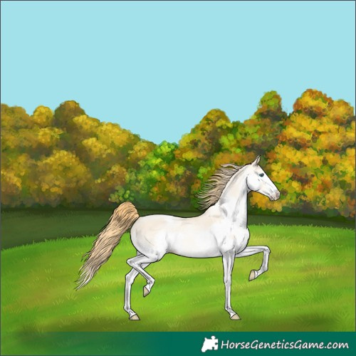 Horse Color:Buckskin Snowdrop Dun Splash Varnish 