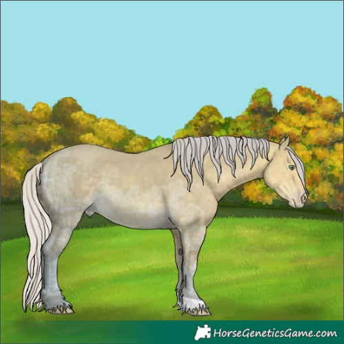 Horse Color:Silver Classic Cream Champagne Ice Dun 