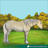 Horse Color:Silver Classic Cream Champagne Ice Dun 