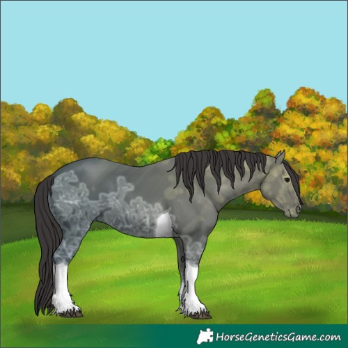 Horse Color:Smoky Black Ice Tobiano 