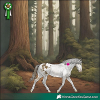 Horse Color:Buckskin Dun Appaloosa 