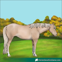 Horse Color:Chocolate Palomino Pearl Tobiano