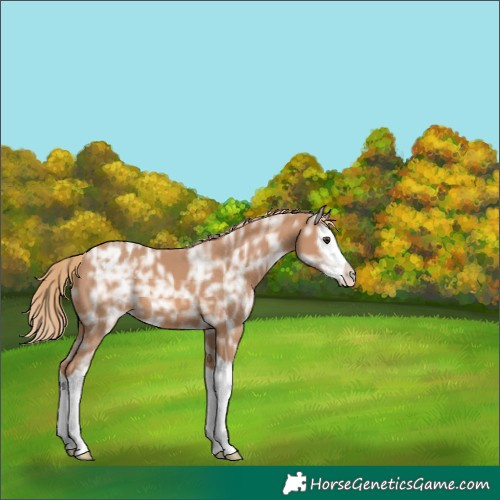 Horse Color:Chestnut Ice Splash Blanket 