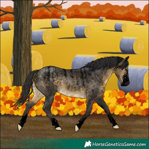 Horse Color:Powder White Void Buckskin 