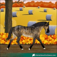 Horse Color:Powder White Void Buckskin