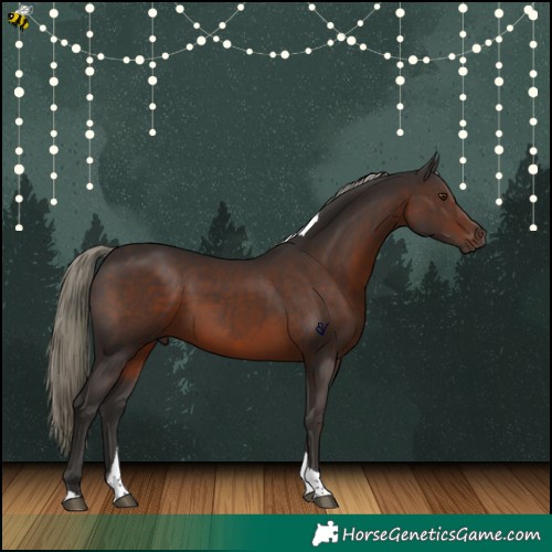Horse Color:Liver Chestnut Mushroom Tobiano 
