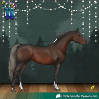 Horse Color:Liver Chestnut Mushroom Tobiano 