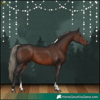 Horse Color:Liver Chestnut Mushroom Tobiano