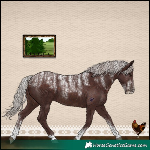 Horse Color:Powder White Chocolate Silver Brown 