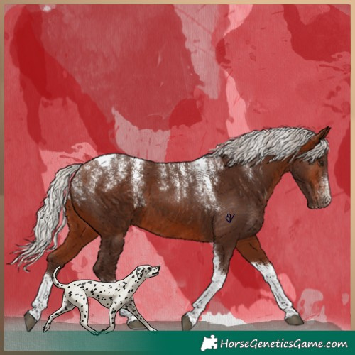 Horse Color:Powder White Silver Bay Tobiano 