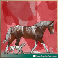 Horse Color:Powder White Silver Bay Tobiano