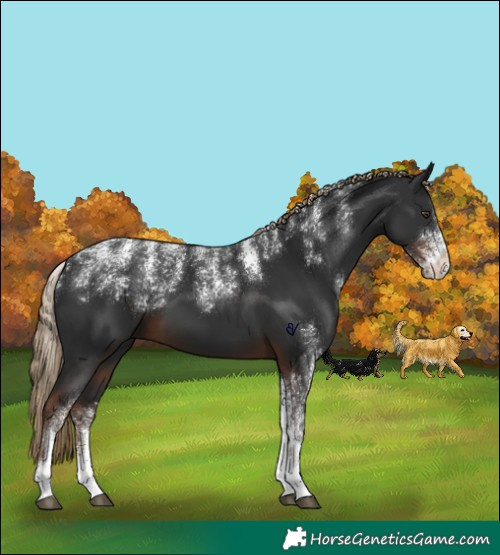 Horse Color:Powder White Liver Chestnut 