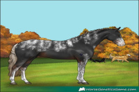 Horse Color:Powder White Liver Chestnut