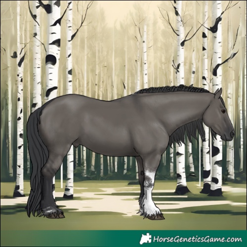 Horse Color:Grullo Sabino Tobiano 