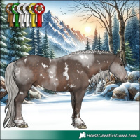Horse Color:White Spotted Silver Black Rabicano 