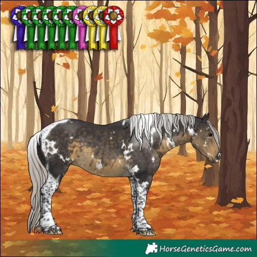 Horse Color:White Spotted Silver Smoky Black Tobiano 