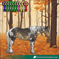 Horse Color:White Spotted Silver Smoky Black Tobiano 