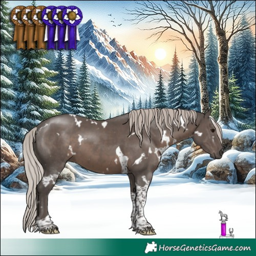 Horse Color:White Spotted Silver Black Tobiano 