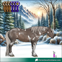 Horse Color:White Spotted Silver Black Tobiano 