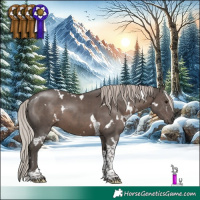 Horse Color:White Spotted Silver Black Tobiano 