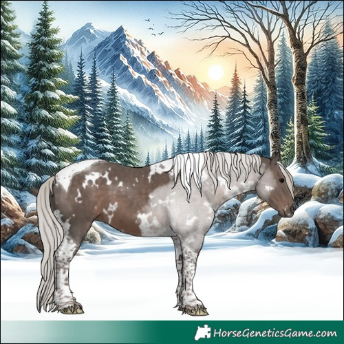 Horse Color:White Spotted Silver Black Tobiano 