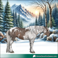 Horse Color:White Spotted Silver Black Tobiano 