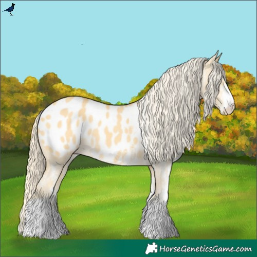 Horse Color:White Spotted Gold Cream Champagne Dun Blanket Rabicano 