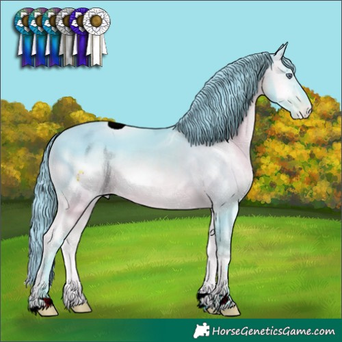 Horse Color:ERROR: UNKNOWN ANOMALY