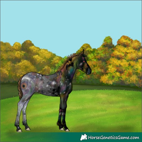 Horse Color:ERROR: UNKNOWN ANOMALY