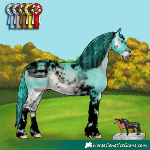 Horse Color:ERROR: UNKNOWN ANOMALY