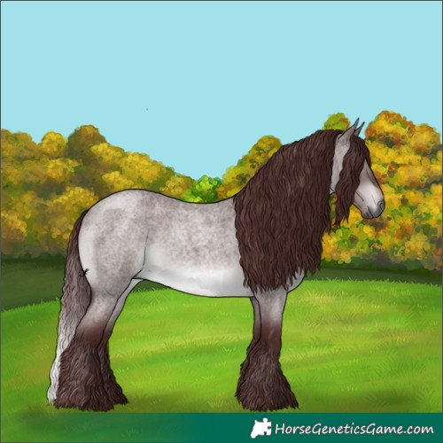 Horse Color:Gray Platinum Chocolate Brown Roan Dun 