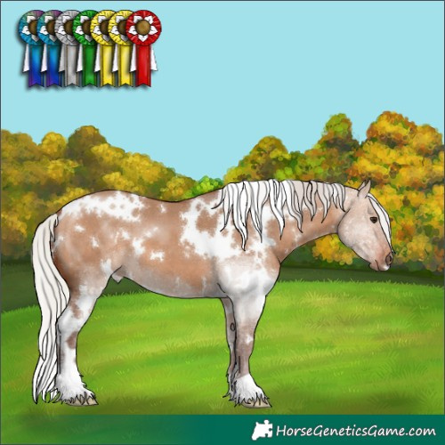 Horse Color:White Spotted Silver Bay Dun 
