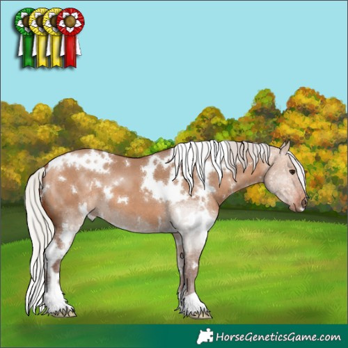Horse Color:White Spotted Silver Bay Dun 