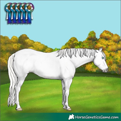 Horse Color:Gray Silver Buckskin Pearl Dun Sabino Tobiano 