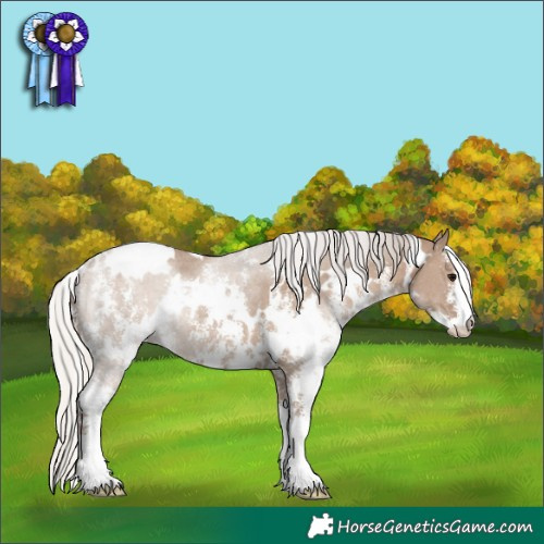 Horse Color:White Spotted Silver Grullo Sabino Rabicano 