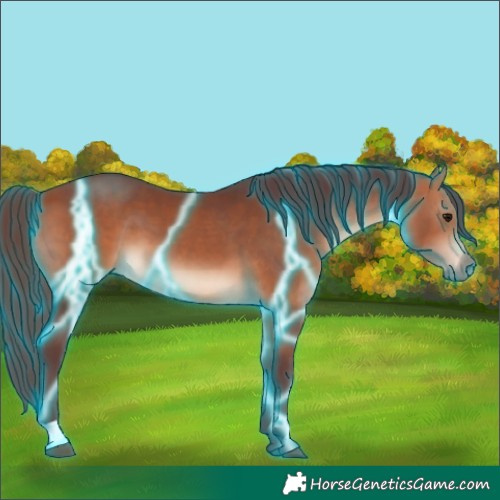 Horse Color:Thunderstruck Chocolate Bay 