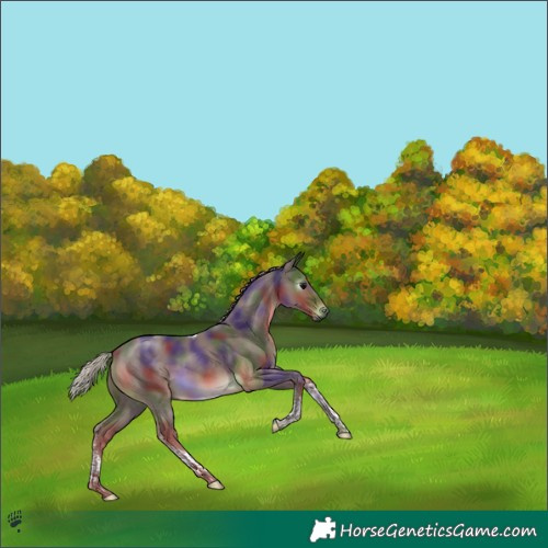 Horse Color:Gray Nacre Chocolate Silver Black Tobiano 