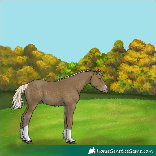 Horse Color:Silver Smoky Black Tobiano Varnish 
