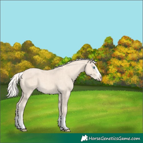 Horse Color:Cremello Splash  and Cremello Splash 