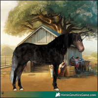 Horse Color:Void Brown Roan Dun Tobiano