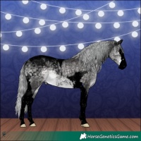 Horse Color:Void Platinum Silver Buckskin Splash Tobiano